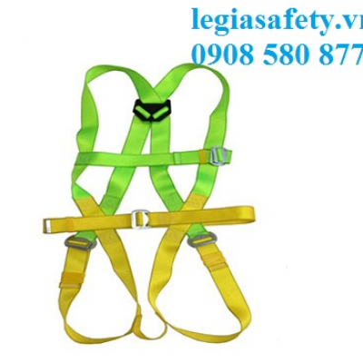 Dây An Toàn Toàn Thân - Everest EV-313